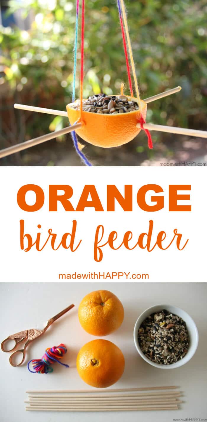 Orange Bird Feeder