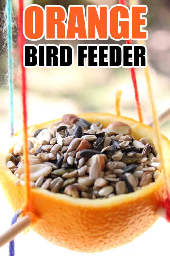 easy diy bird feeder