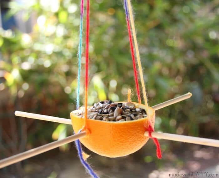 orange bird feeder filled