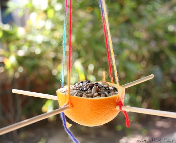 Orange Bird Feeder | Making a bird feeder out of an orange | Kids Bird Feeders | Kids Summer Activities | www.madewithHAPPY.com