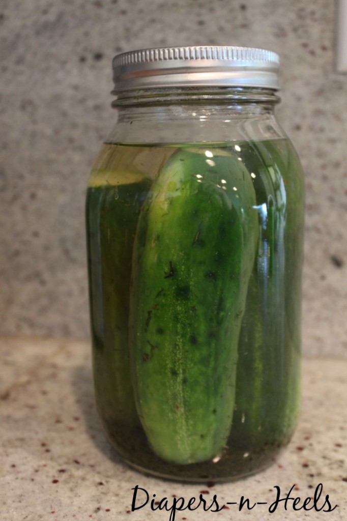 Organic-Pickles-7