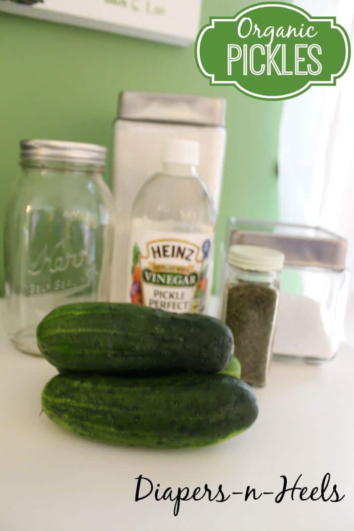 Organic-Pickles
