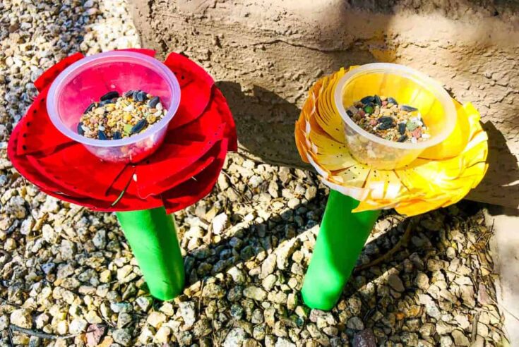 paper plate bird feeder