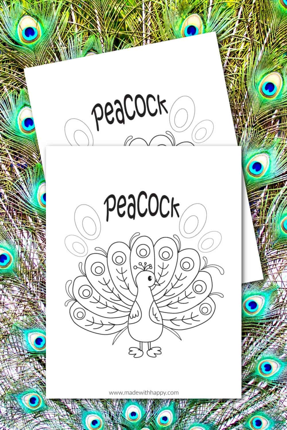 Peacock Coloring Pages