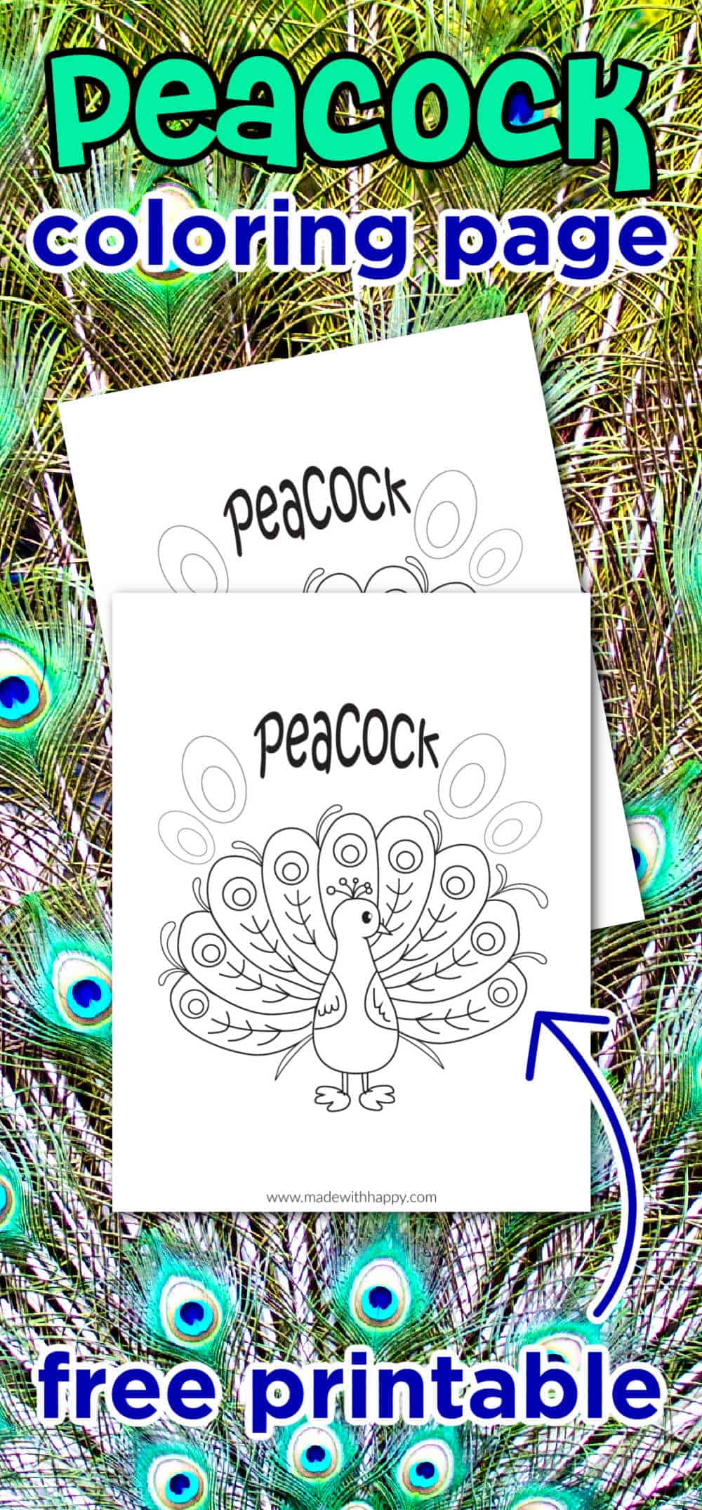 Peacock Coloring Sheet