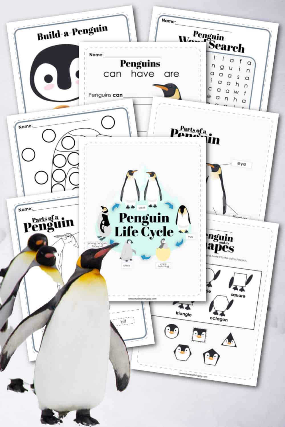 what is the life cycle of a penguin