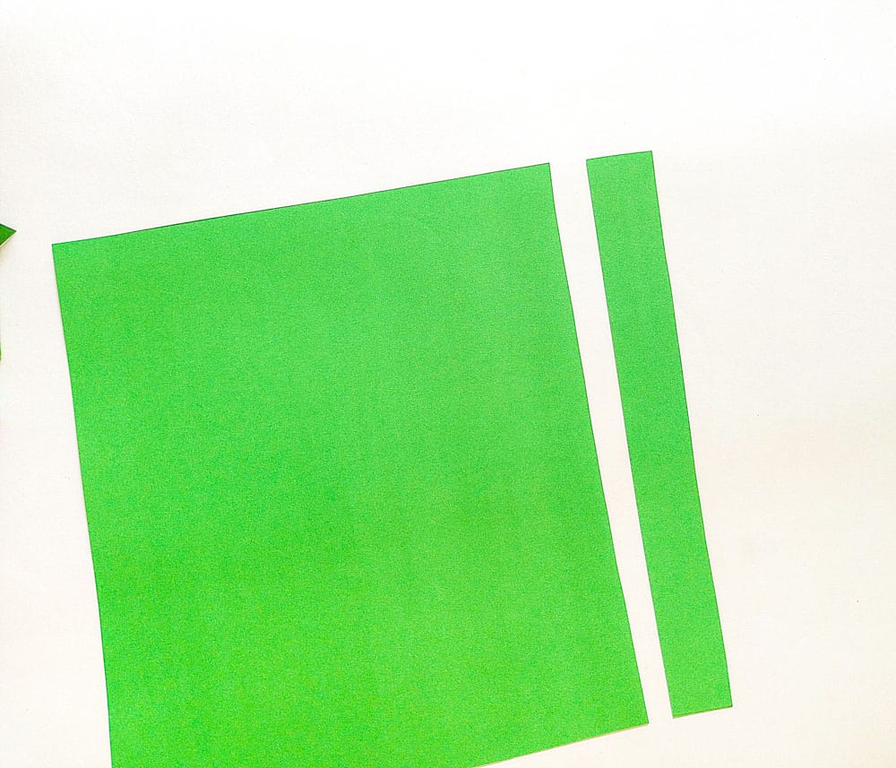 Cut out long green craft paper strips. Make sure one strip is slightly shorter than the other.