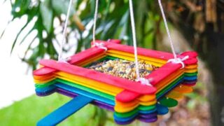 Rainbow Craft Sticks Birdfeeder