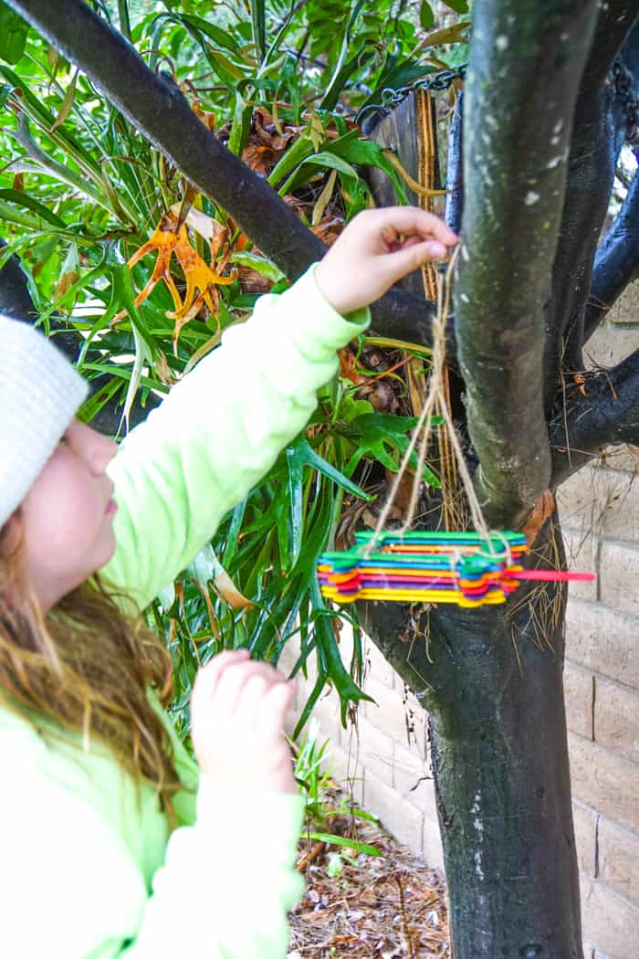 Girl hanging birdfeeder in tree