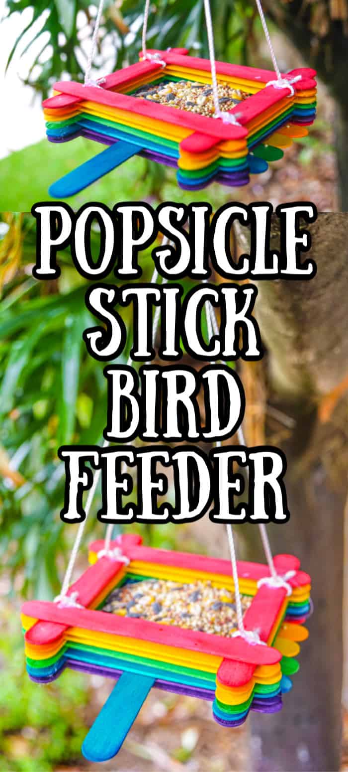 Popsicle Stick Craft Bird Feeder