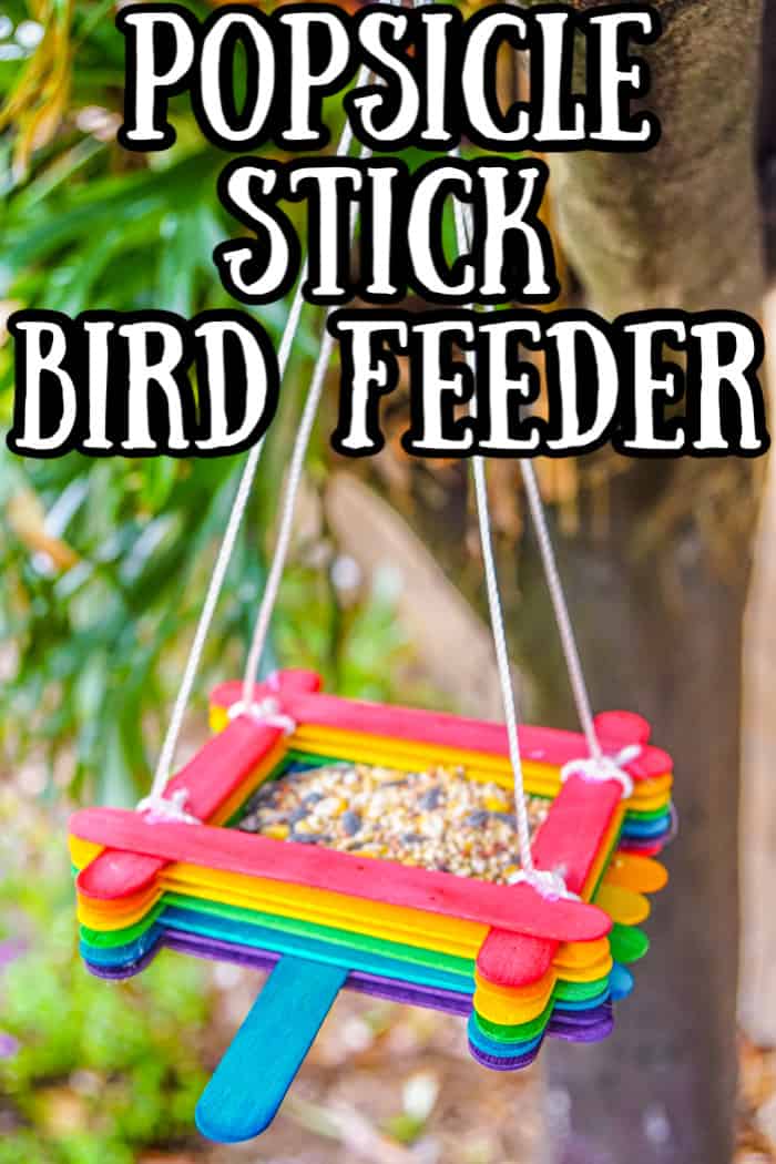 Popsicle Stick Bird Feeder