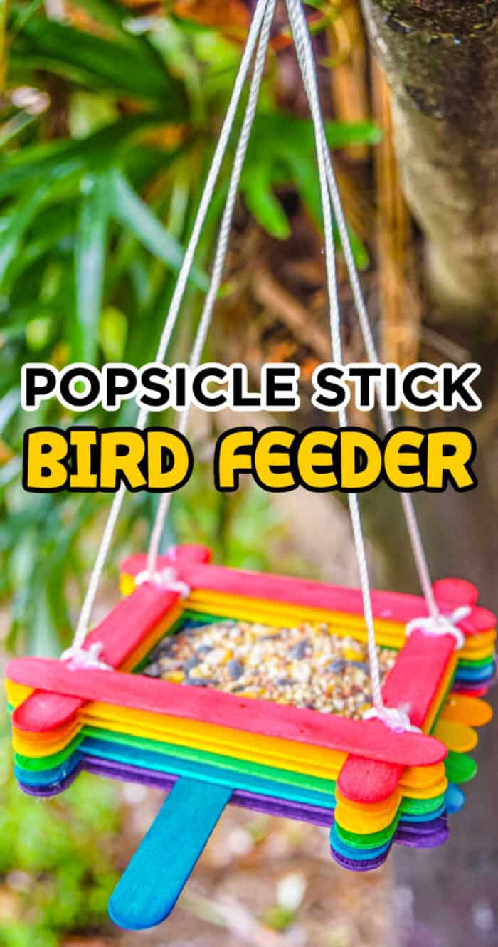 Popsicle Stick Bird Feeder Craft - Made with HAPPY