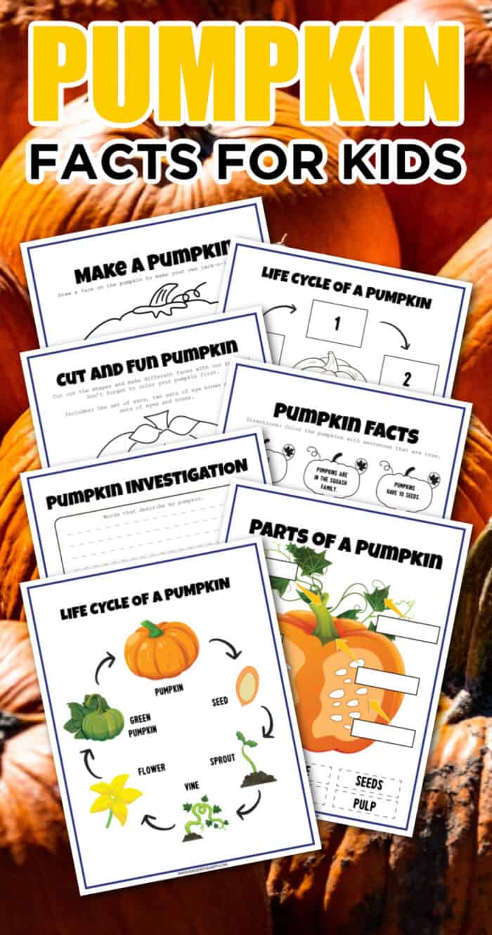 printable pumpkin activities