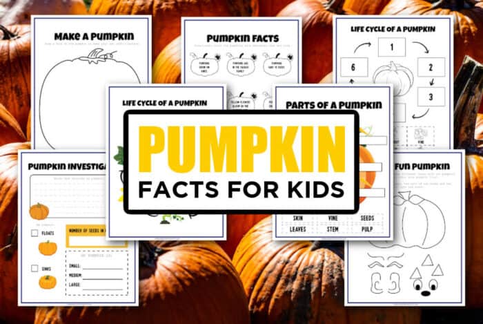 Pumpkin Life Cycle Printable