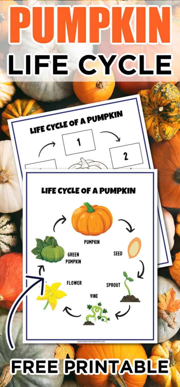 worksheets showing all about pumpkin