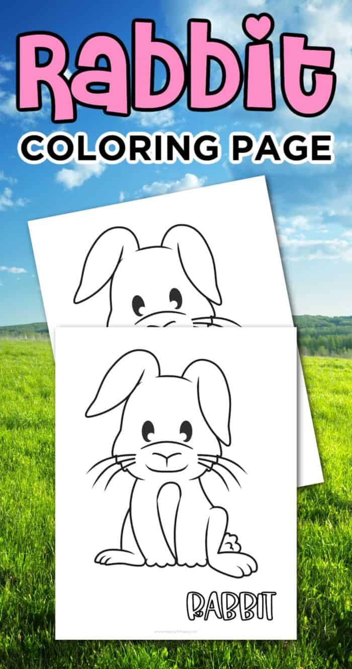 coloring pages of rabbit