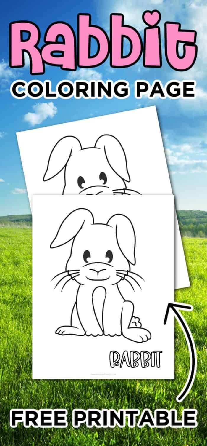 coloring page of rabbit