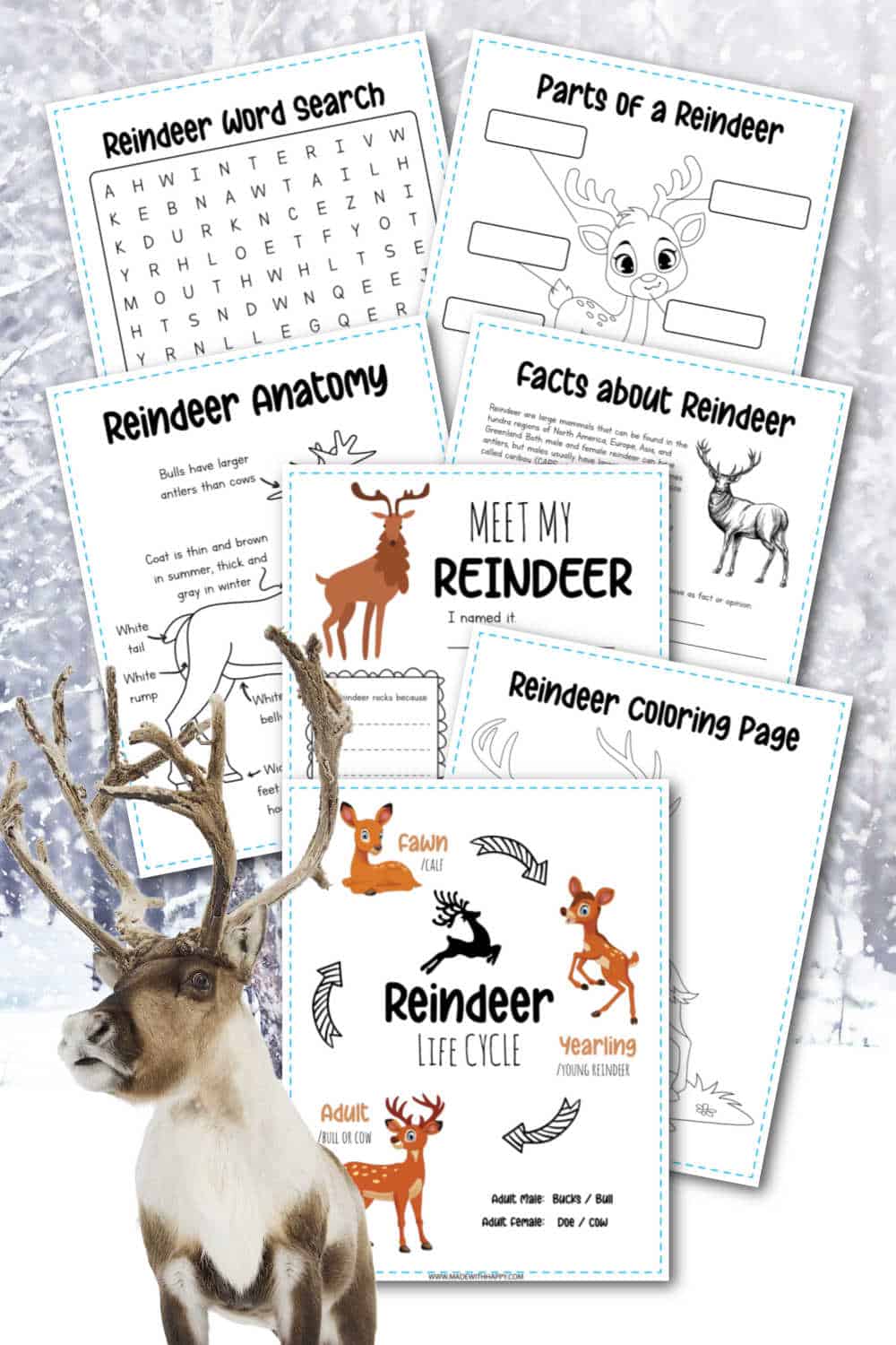 Reindeer Activity Sheets