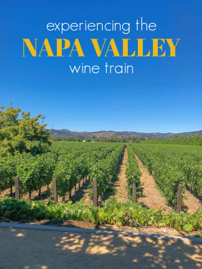 Delicious food, wine tasting, or seeing the sights of the Napa country side, the Napa Valley Wine Train is a great way to incorporate them all.