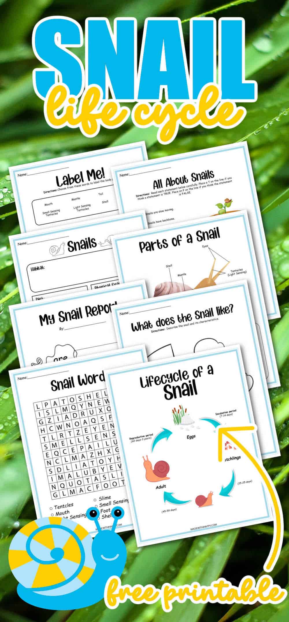 Snail Life Cycle Worksheets Made with HAPPY