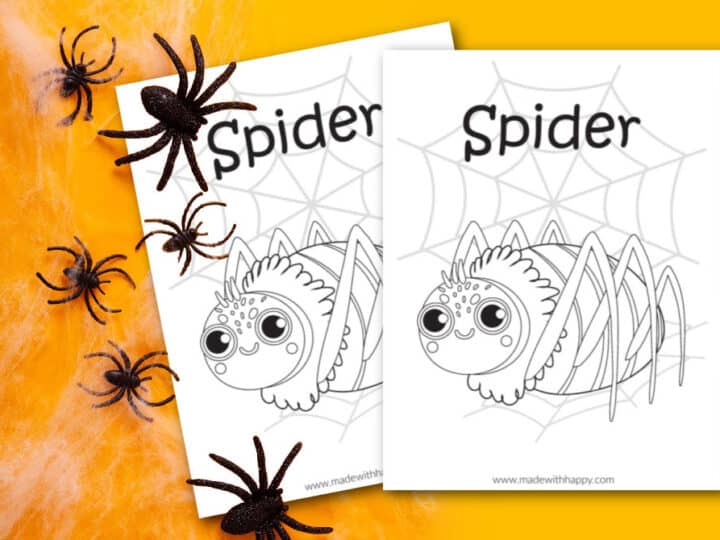 spider coloring page for kids printable