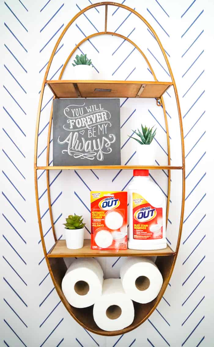 Toilet Cleaner