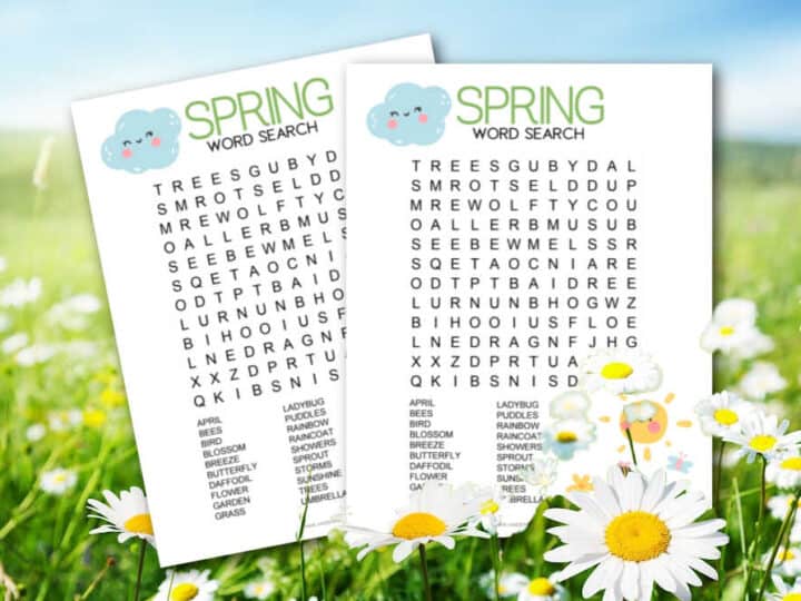 Spring Word Search