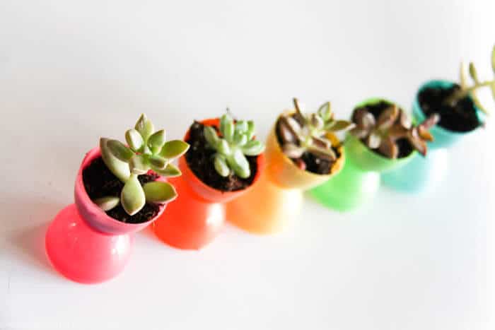 Plastic Easter Egg Pots | Succulent Egg Pots | Flowers in Easter Eggs | Easter Decorations | Easter Table Settings | Rainbow Easter | www.madewithHAPPY.com