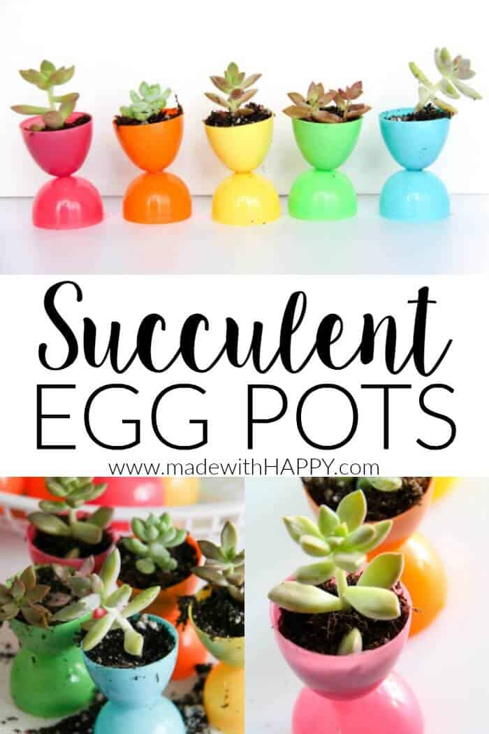 Plastic Easter Egg Pots | Succulent Egg Pots | Flowers in Easter Eggs | Easter Decorations | Easter Table Settings | Rainbow Easter | www.madewithHAPPY.com