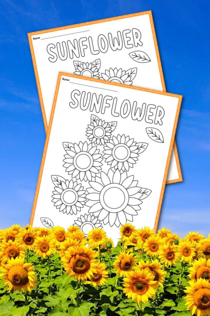 Sunflower Coloring Page