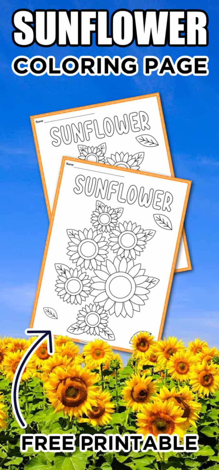 Flower coloring pages