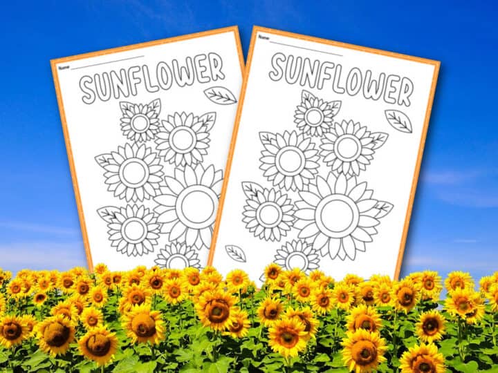 Printable Sunflowers Coloring pages