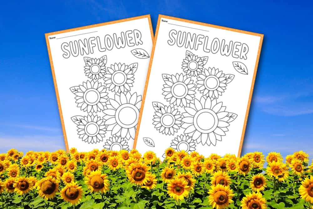 Printable Sunflower Coloring pages