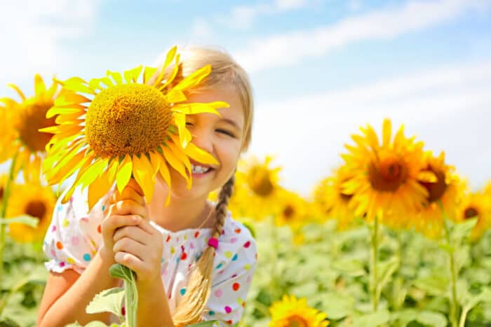 Smiling kid in a field of sunflowers