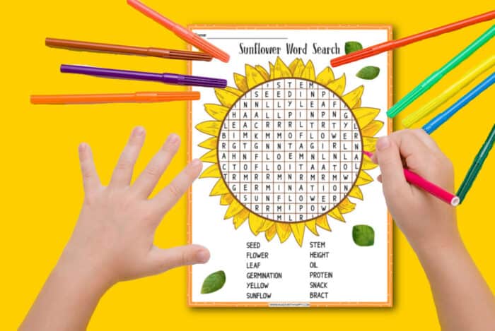 Sunflower Word Search