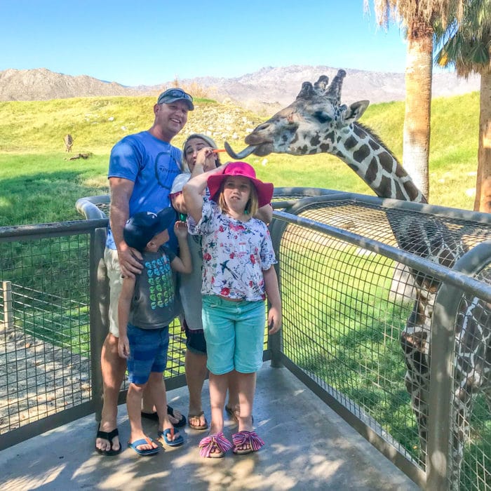 Family Feeding the Giraffes. Visiting the living desert. Things to do in Palm Desert. Family Getaway to the desert. Feeding the Giraffes at the zoo. Zoos of Southern California.