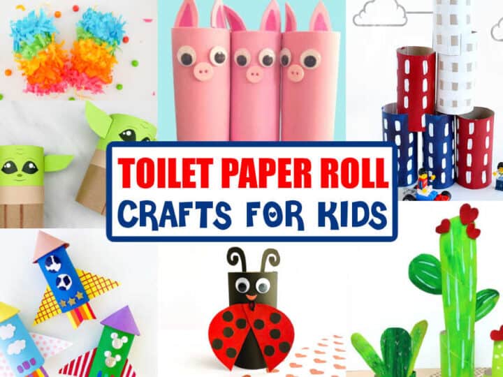 Toilet Paper Roll Crafts