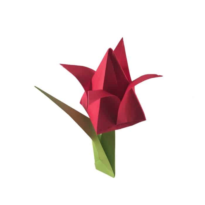 paper tulip