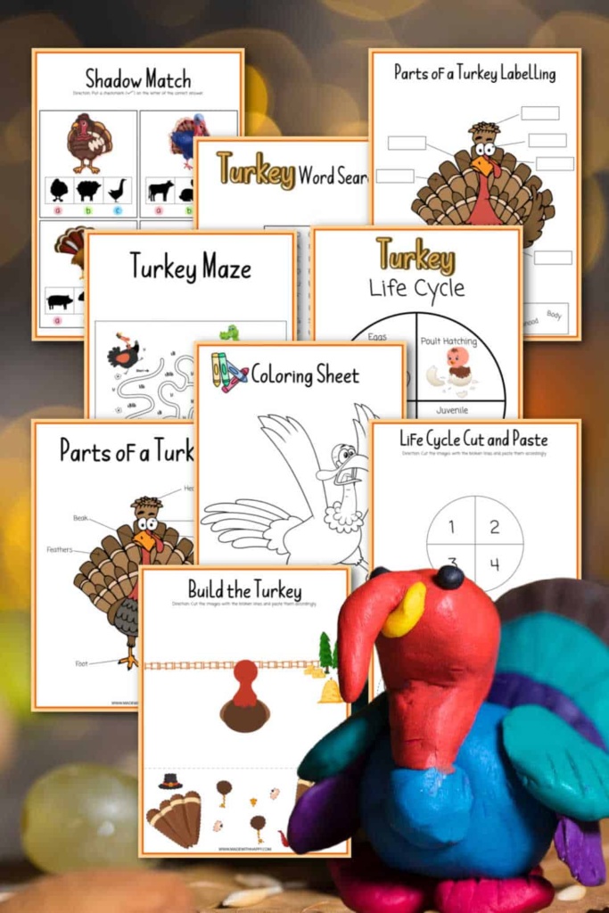 Fun Facts about Turkeys - Made with HAPPY