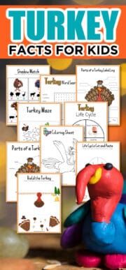 Fun Facts about Turkeys - Made with HAPPY