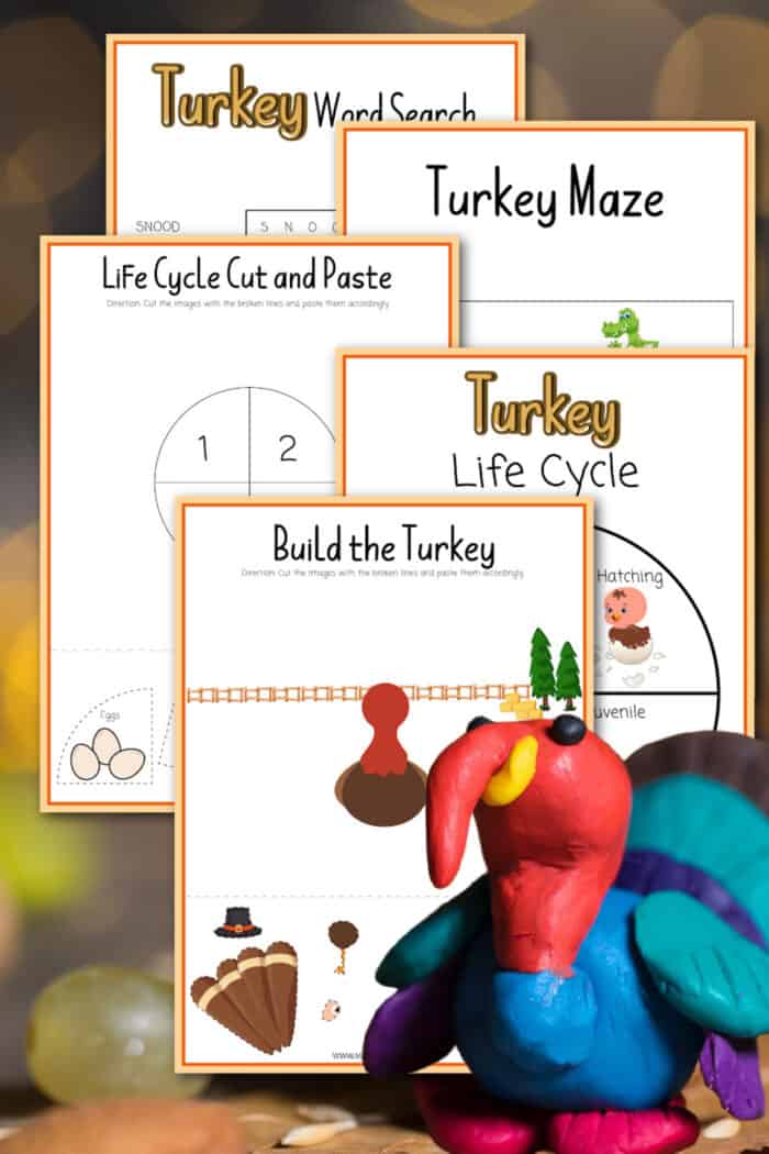 Turkey Games