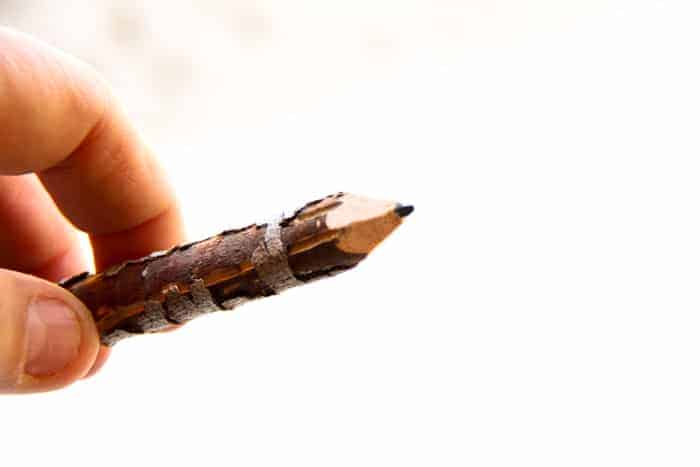 Make your own gifts for back to school. How to make twig pencils | Making pencils out of branches and twigs | DIY Pencils | www.madewithhAPPY.com