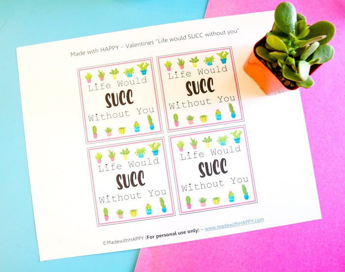 Free printable valentines Ideas. Valentines Day Succelents are great for older school grade kids. Free printable Valentines are great with succulents are all the gifts needed.
