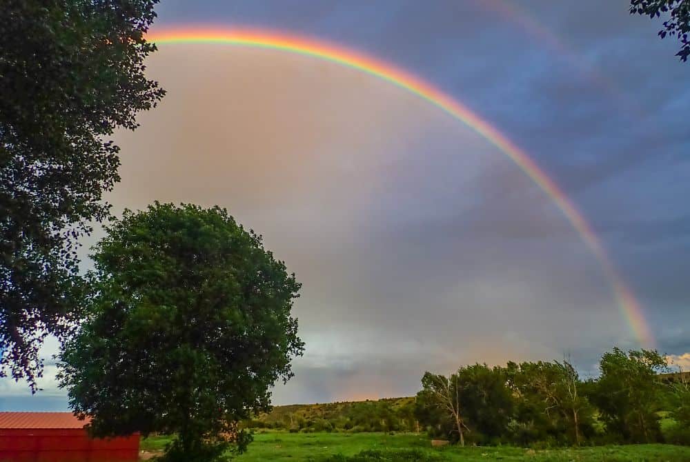 What is a Rainbow?