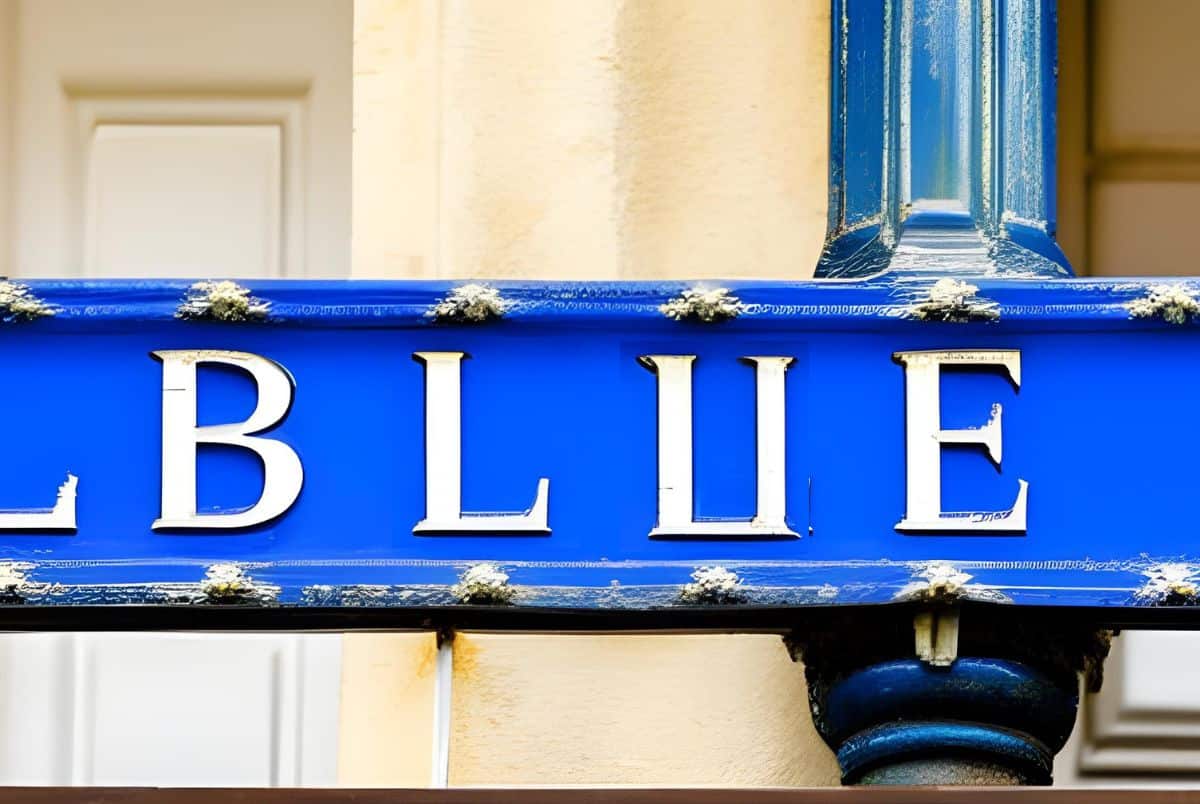 Where did the word blue come from