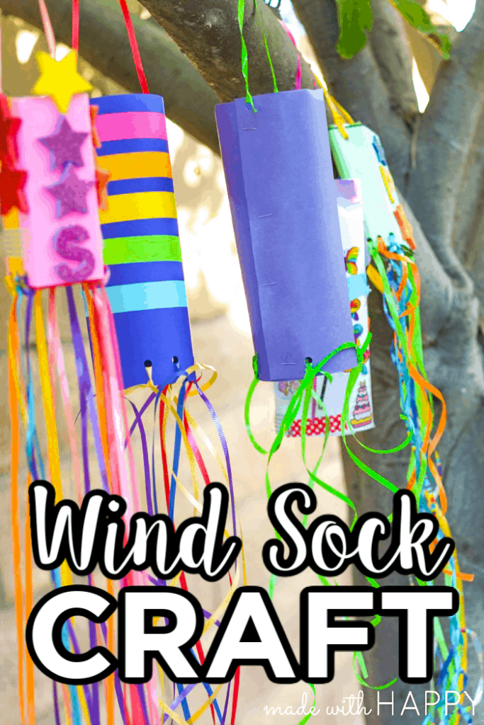 Wind Sock Craft