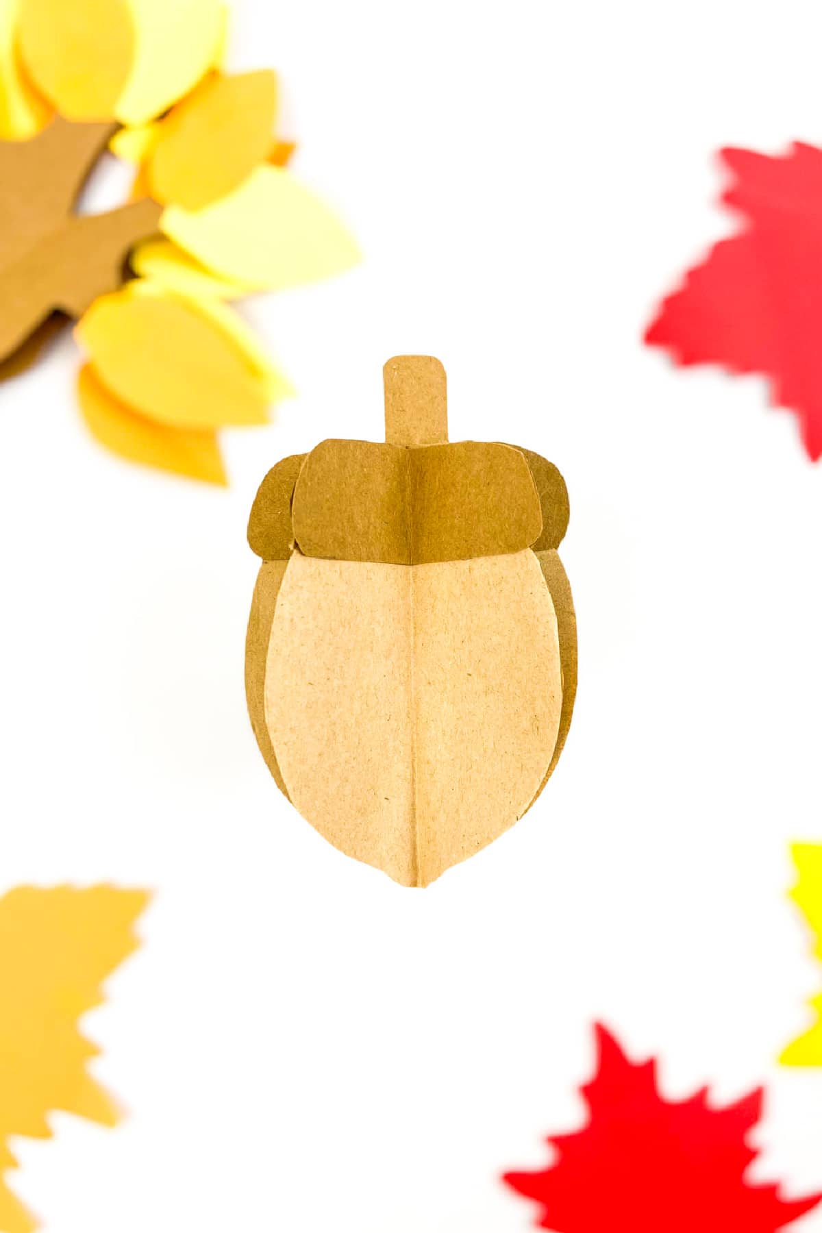 acorn craft