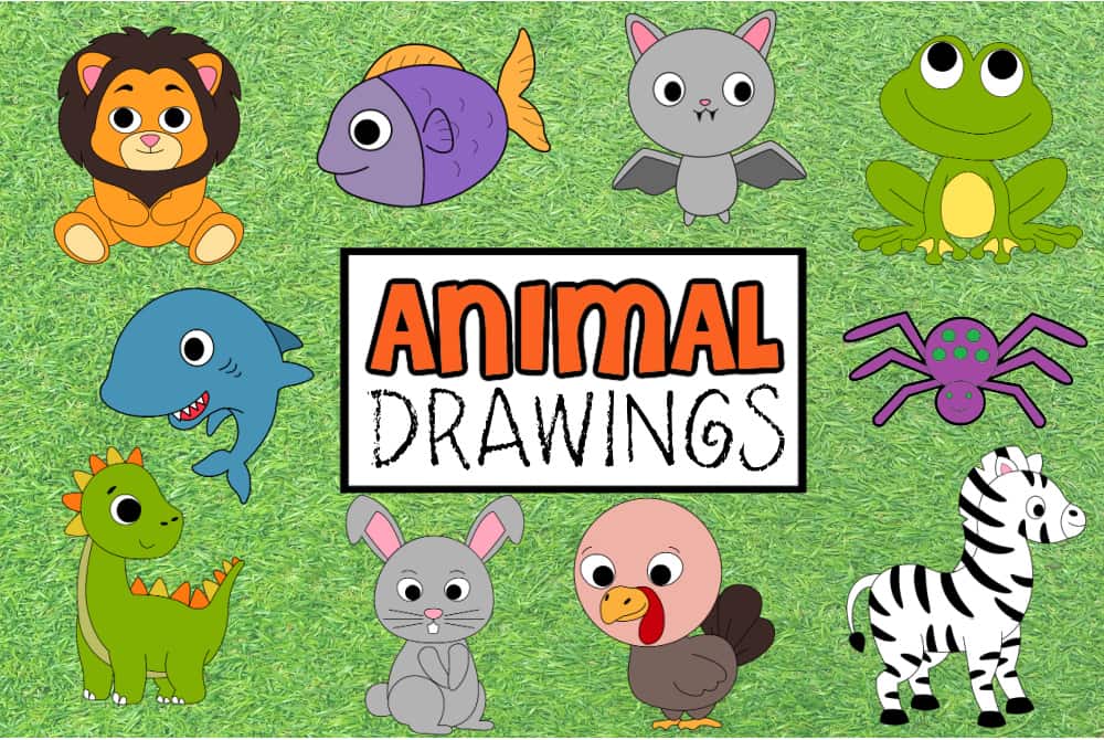 Easy Drawings Of Animals Step By Step