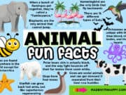 35+ Reindeer Facts For Kids - Free Printables - Made with HAPPY