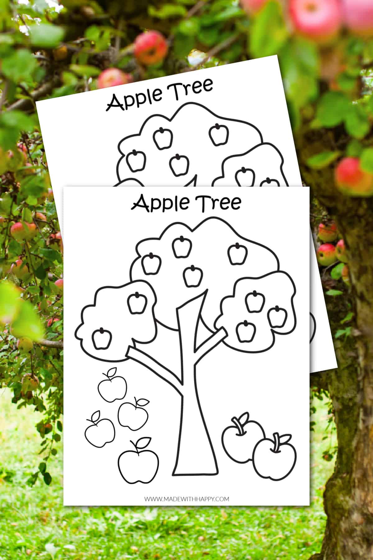 Apple Tree Color Page